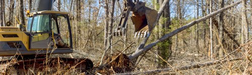Land clearing and lot cleanup by Kingdom Groundworks